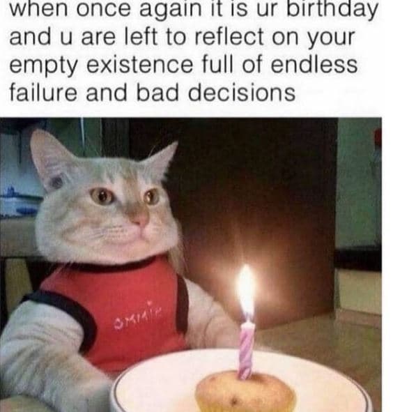 When once again it ıs ur birthaay and u are left to reflect on your empty existe