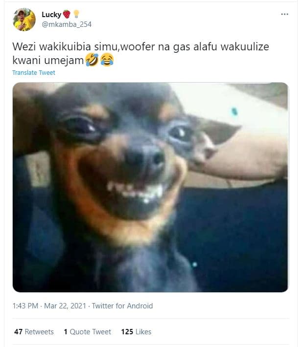 Lucky mkamba_254 wezi wakikuibia simu,woofer na gas alafu wakuulize kwani umejam