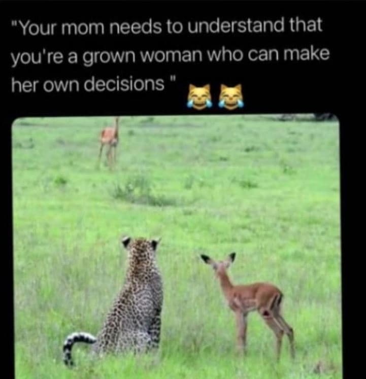 Your mom needs to understand that you 're a grown woman who can make her own dec