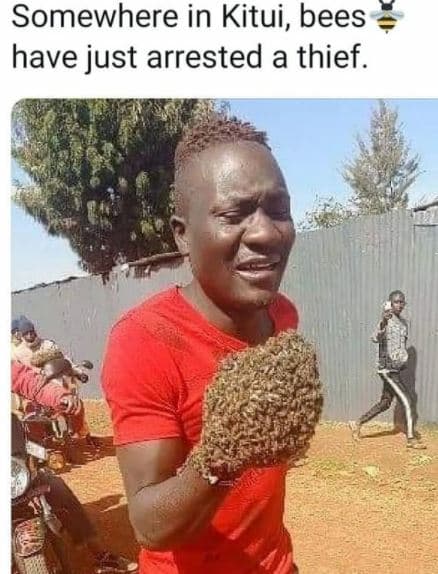 Somewhere in kitui, bees have just arrested a thief.