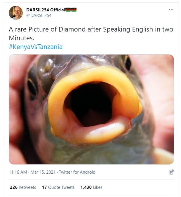 Darsil254 official darsil254 rare picture of diamond after speaking english in t