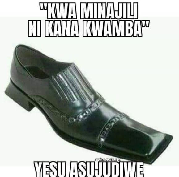 T mv immambif duuıconusic 7ststhtie