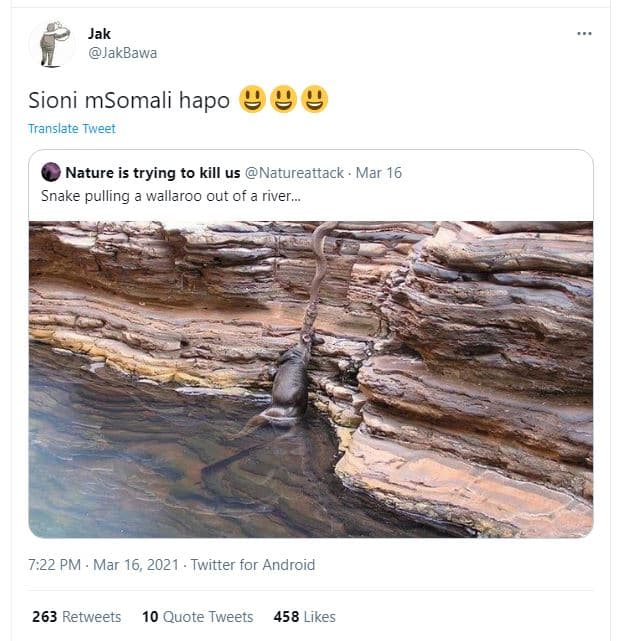 Jak jakbawa sioni msomali hapo 9 4 ! translate tweet nature is trying to kill us