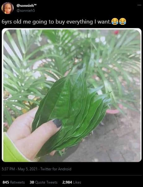 Sonnieh sonniehs 6yrs old me going to buy everything want. 5,37 pm , may 5 twitt