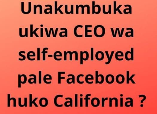 Unakumbuka ukiwa ceo wa selfemployed pale facebook huko california ?