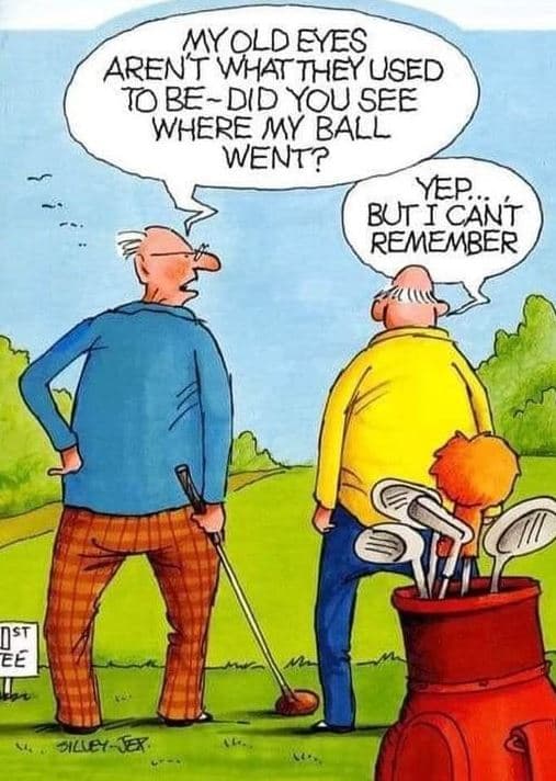 Myoldeyes arent whattheyused tbedid you see where my ball went? yep buricänt rem