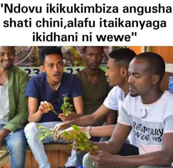 'ndovu ikikukimbiza angusha shati chini,alafu itaikanyaga ikidhani ni wewe reper