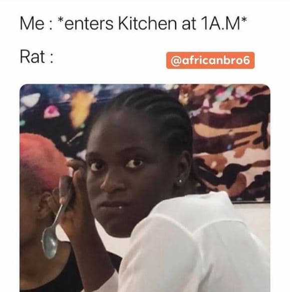Me enters kitchen at iam rat africanbro6