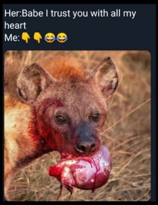 Herbabe trust you with all my heart me