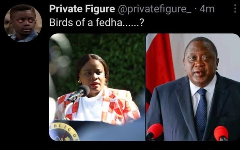 Private figure privatefigure 4m birds of a fedha 2