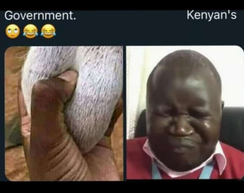 Government. kenyan's