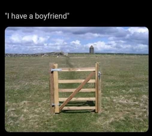 Have a boyfriend