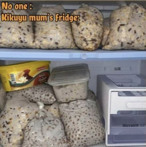 Noone cikugu munfs fridge