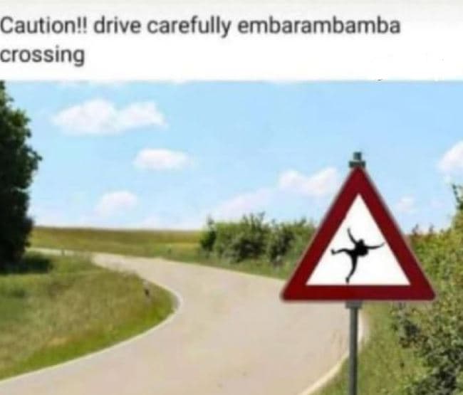 Cautionl! drive carefully embarambamba crossing