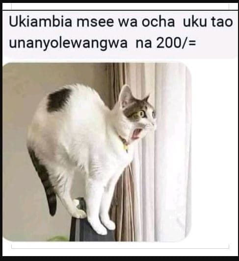Ukiambia msee wa ocha uku tao unanyolewangwa na 200