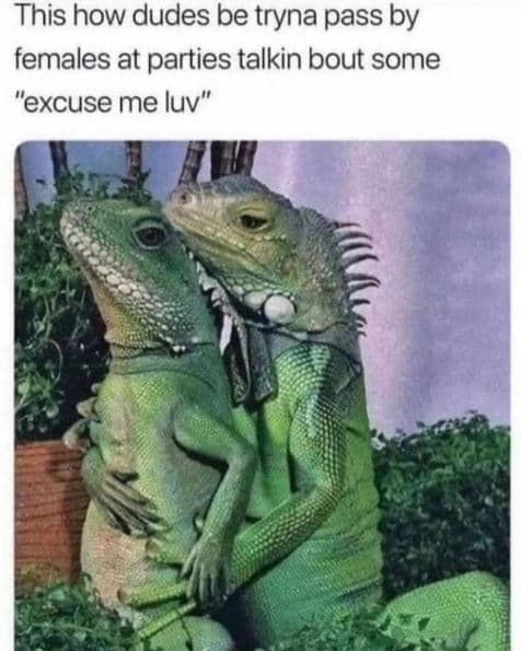 This how dudes be tryna pass by females at parties talkin bout some excuse me lu