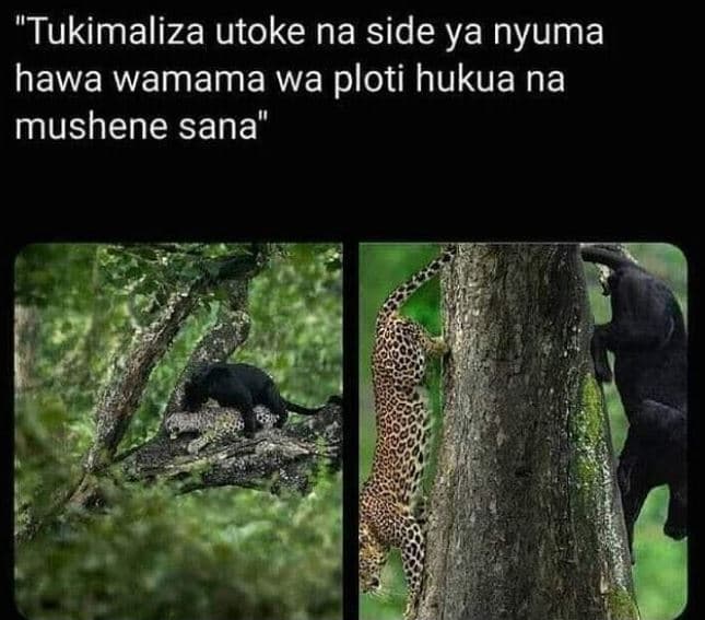 Tukimaliza utoke na side ya nyuma hawa wamama wa ploti hukua na mushene sana