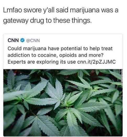 Lmfao swore y'all said marijuana was a gateway drug to these things. cnn cnn cou