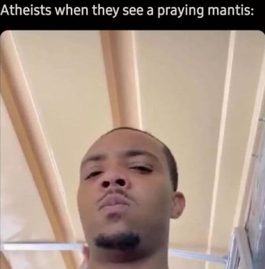 Atheists when they see a praying mantis