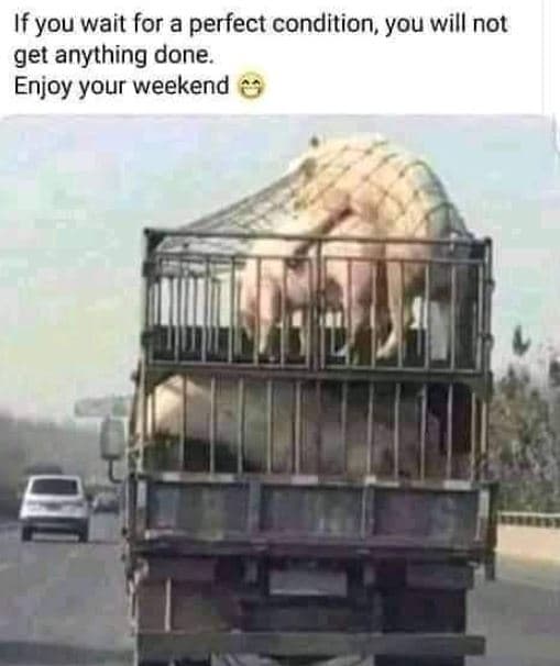 If you wait for a perfect condition you will not get anything done enjoy your we