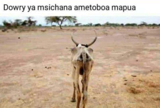 Dowry ya msichana ametoboa mapua