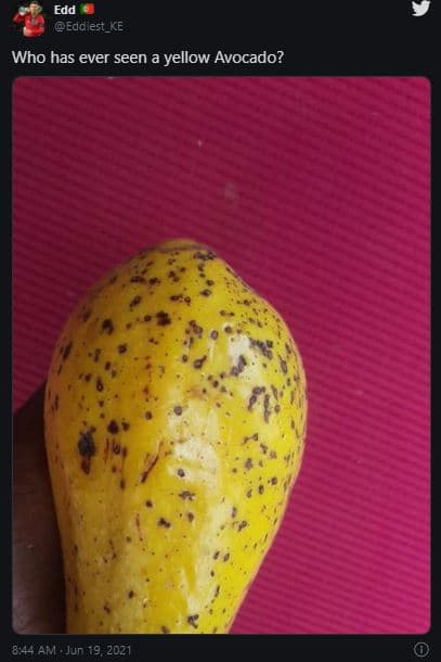 Edd eddiest_ke who has ever seen yellow _ avocado? 8,44 am . jun