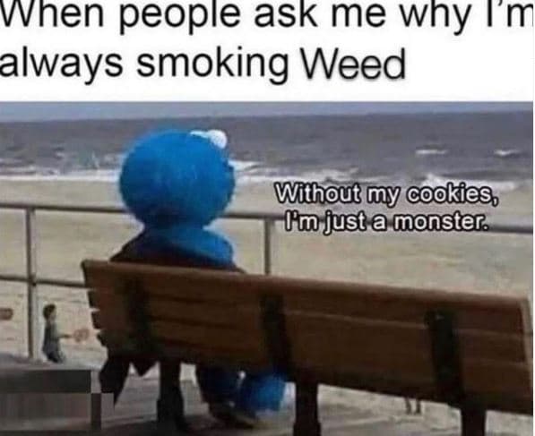 When people ask me why m always smoking weed without y cookies fu just a monster