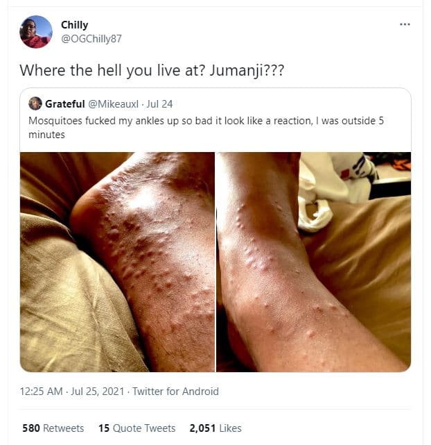 Chilly ogchilly87 where the hell you live at? jumanji??? grateful mikeauxl jul 2