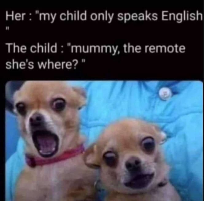 Her my child only speaks english the child mummy the remote she's where?