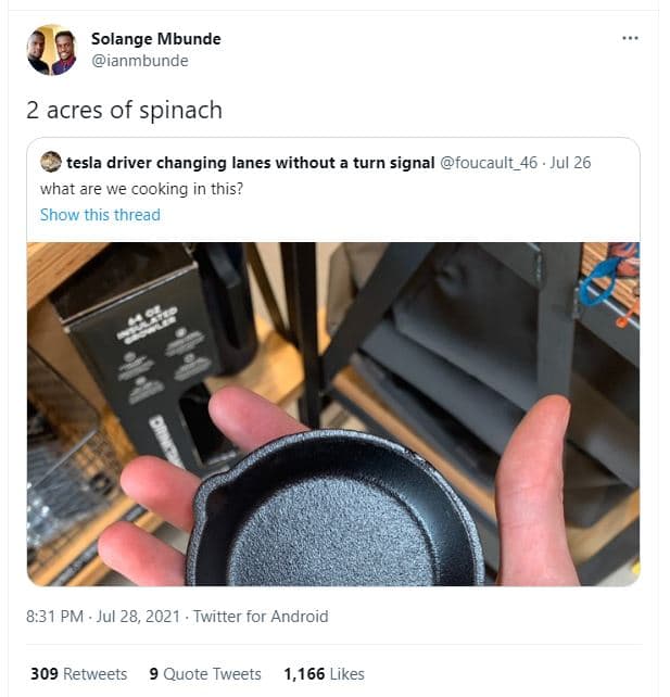 Solange mbunde ianmbunde 2 acres of spinach tesla driver changing lanes without