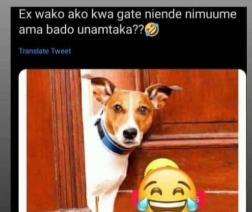 Ex wako ako kwa gate niende nimuume ama bado unamtaka?? ianalate tcel