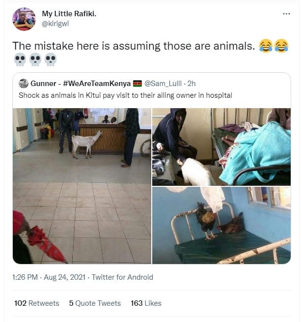 My little rafiki kirigwi the mistake here is assuming those are animals. gunner