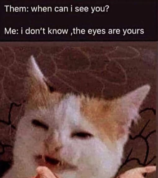 Them when can i see you? me i don't know the eyes are yours