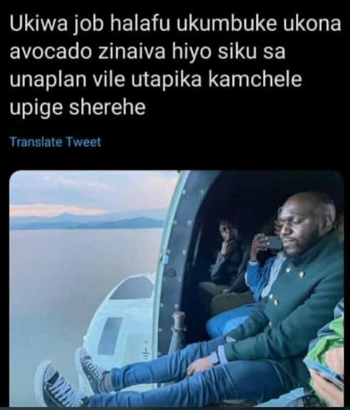 Ukiwa job halafu ukumbuke ukona avocado zinaiva hiyo siku sa unaplan vile utapik