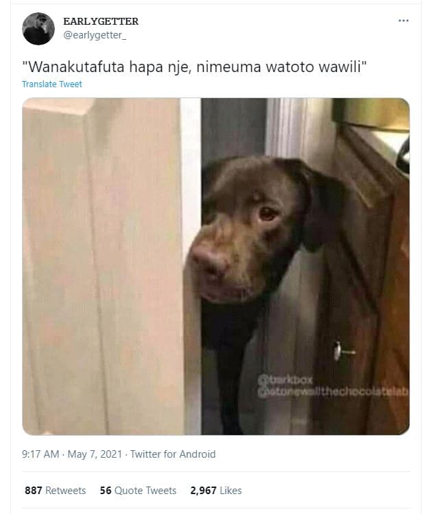 Earlygetter earlygetter _ wanakutafuta hapa nje, nimeuma watoto wawili translate