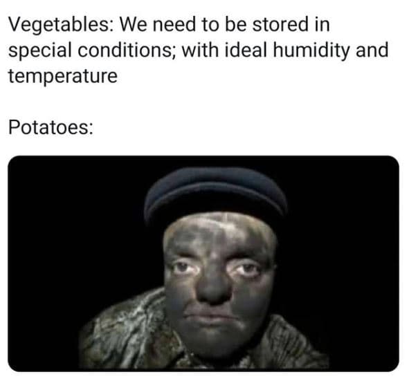Vegetables we need to be stored in special conditions with ideal humidity and te