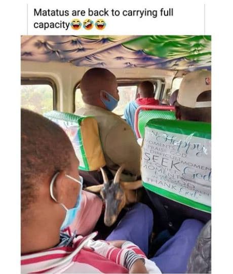 Matatus are back to carrying full capacity