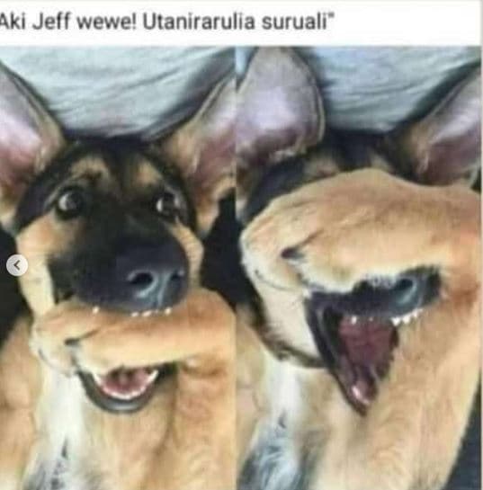 Iki jeff wewel utanirarulia suruali