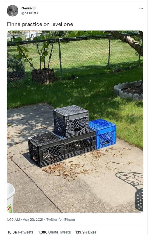 Nessa nessiitta finna practice on level one 1.05 am aug 23, twitter for iphone 1