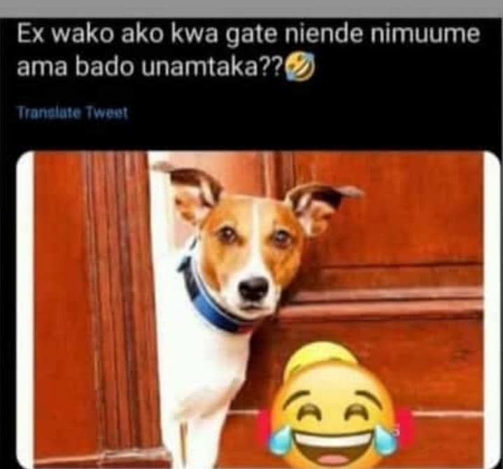 Ex wako ako kwa gate niende nimuume ama bado unamtaka?? iraneluto oa