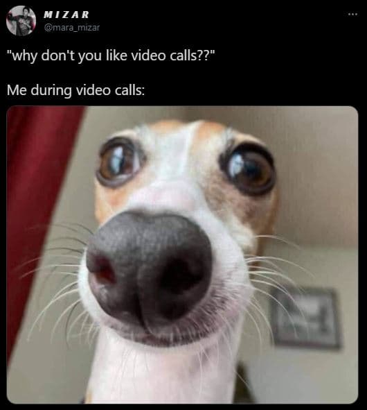 M1za r mara_mizar why don't you like video calls?? me during video calls