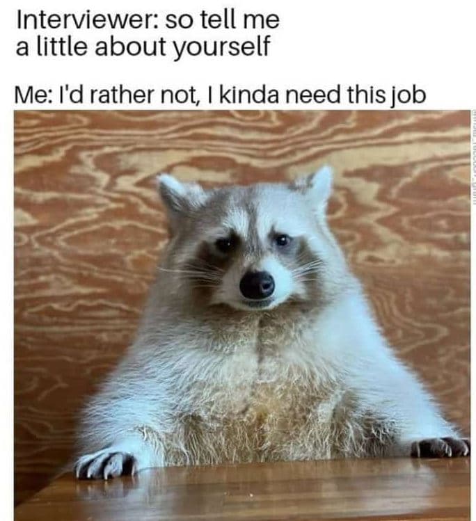 Interviewer so tell me a little about yourself me i'd rather not kinda need this