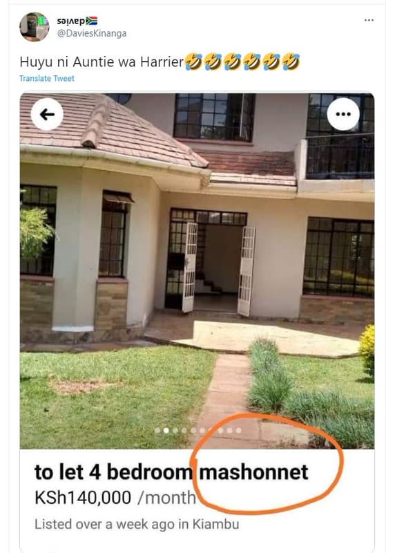 Skpp davieskinanga huyu ni auntie wa harrier translate tweet to let 4 bedroom ma