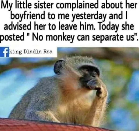 My little sister complained about her boyfriend to me yesterday and advised her