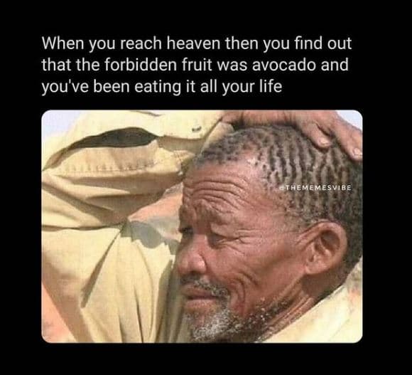 When you reach heaven then you find out that the forbidden fruit was avocado and