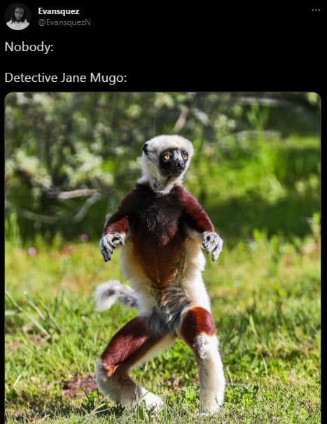 Evansquez evansquezn nobody detective jane mugo