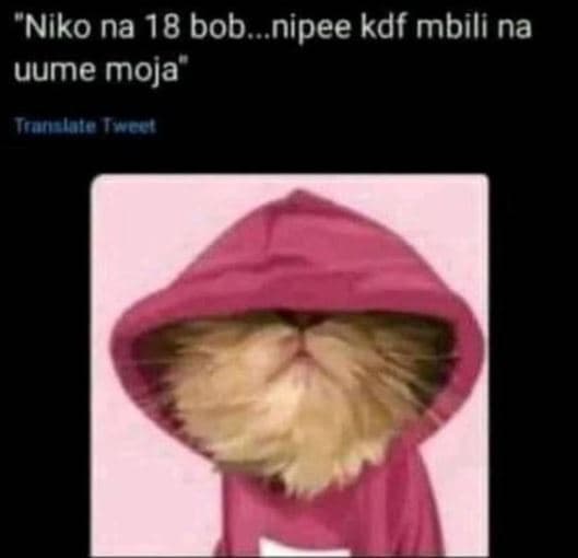 Niko na 18 bob nipee kdf mbili na uume moja rnnslalot