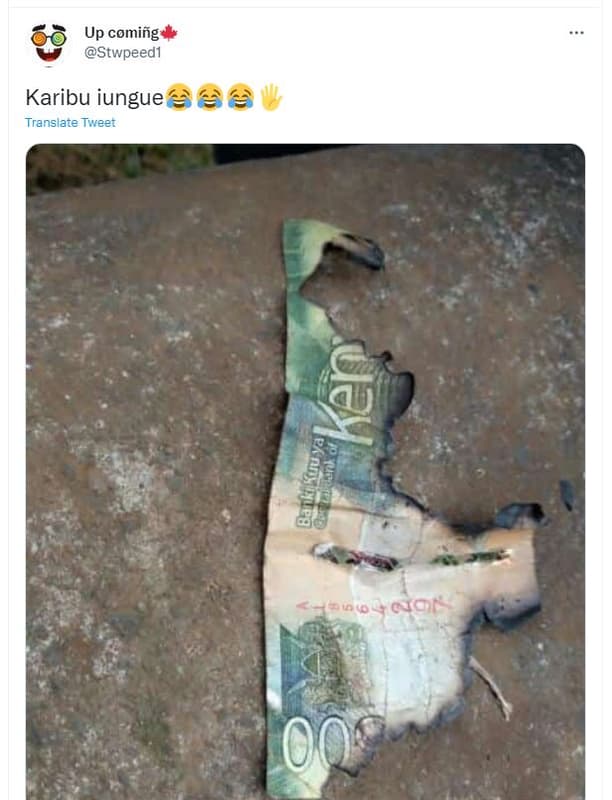 Up comiñg stwpeedi karibu iungue translate tweer n 0 nok