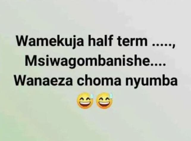 Wamekuja half term msiwagombanishe wanaeza choma nyumba