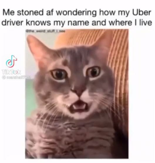 Me stoned af wondering how my uber driver knows my name and where live tirtok fi